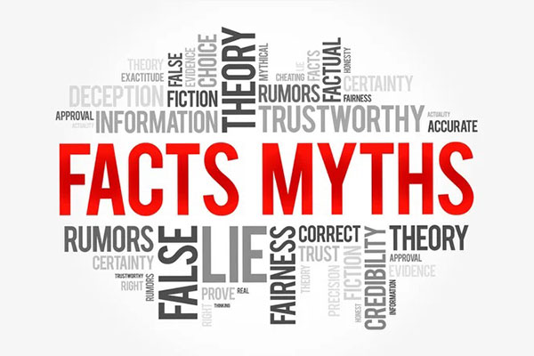 Unveiling the Truth: SEO Facts and Myths